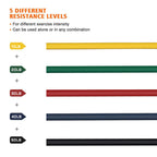 ZorFit Resistance Bands Set – 5 Stackable Fitness Bands for Full Body Workout